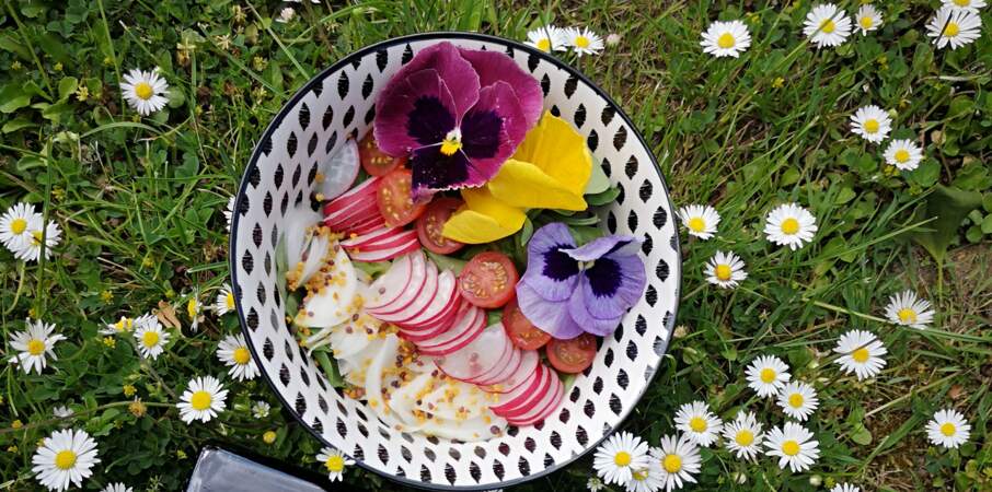 Salade d’été au pollen et aux fleurs