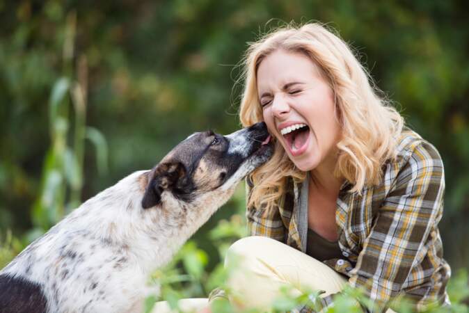 La langue de votre chien