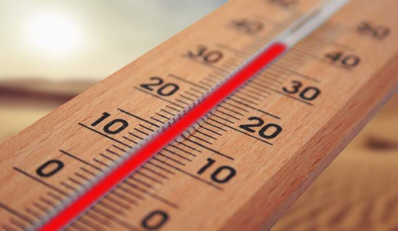 Canicule : cinq conseils pour lutter contre les fortes chaleurs