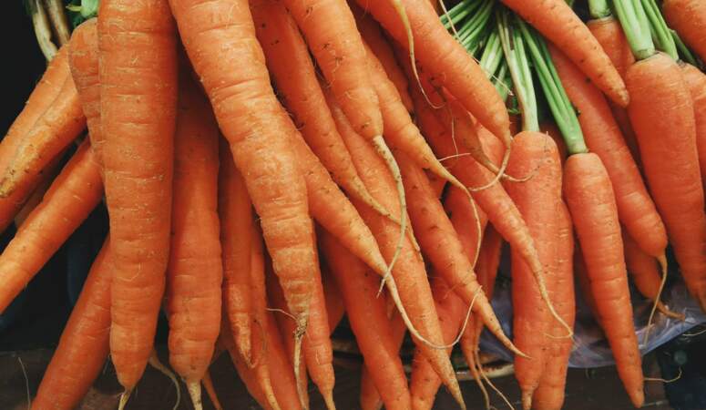 Comment conserver les carottes ?