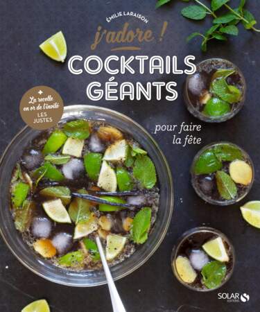 Livre "Cocktails géants" d'Emilie Laraison aux Éditions Solar