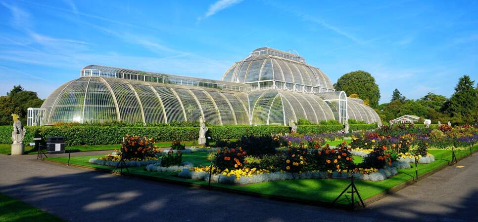 Londres : à la découverte des jardins royaux de Kew