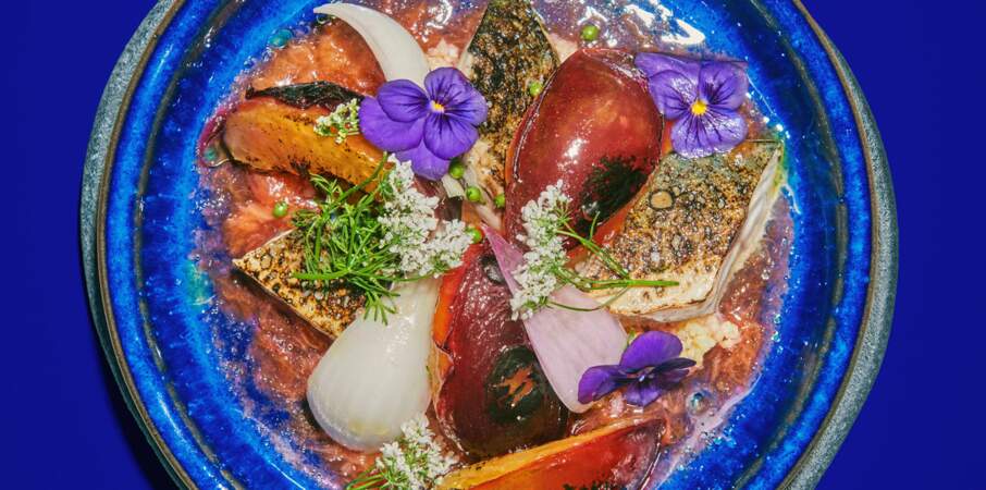 Prunes bleues et maquereau grillés à la flamme, oignon rouge et fleur de coriandre
