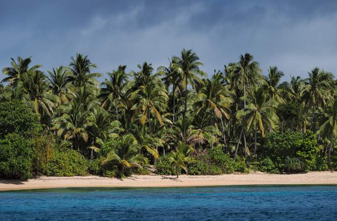 Dans un décor paradisiaque, cette édition, tournée dans un archipel des Fidji, va voir s'affronter un nombre record de candidats. 
