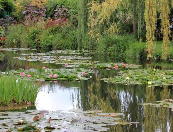 Zoom sur Giverny, le jardin en fête de Claude Monet
