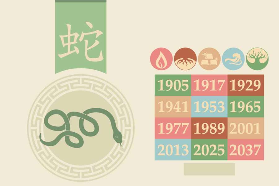 Horoscope chinois 2021 du Serpent : les prévisions de Marc Angel