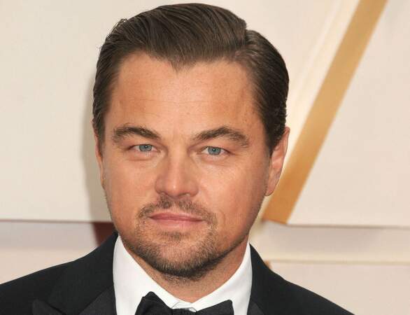 Le slicked back de Leonardo DiCaprio