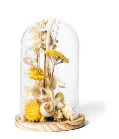 Cloche de fleurs séchées - Ivy Paysagiste