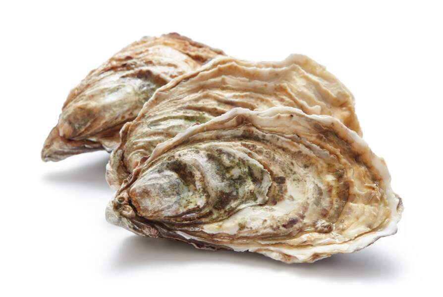 5 idées pour recycler les coquilles d’huîtres