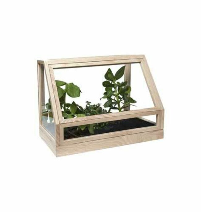 8. Terrarium Greenhouse Mini, L 48 cm, Design House Stockholm chez Made in Design, 210 €. 