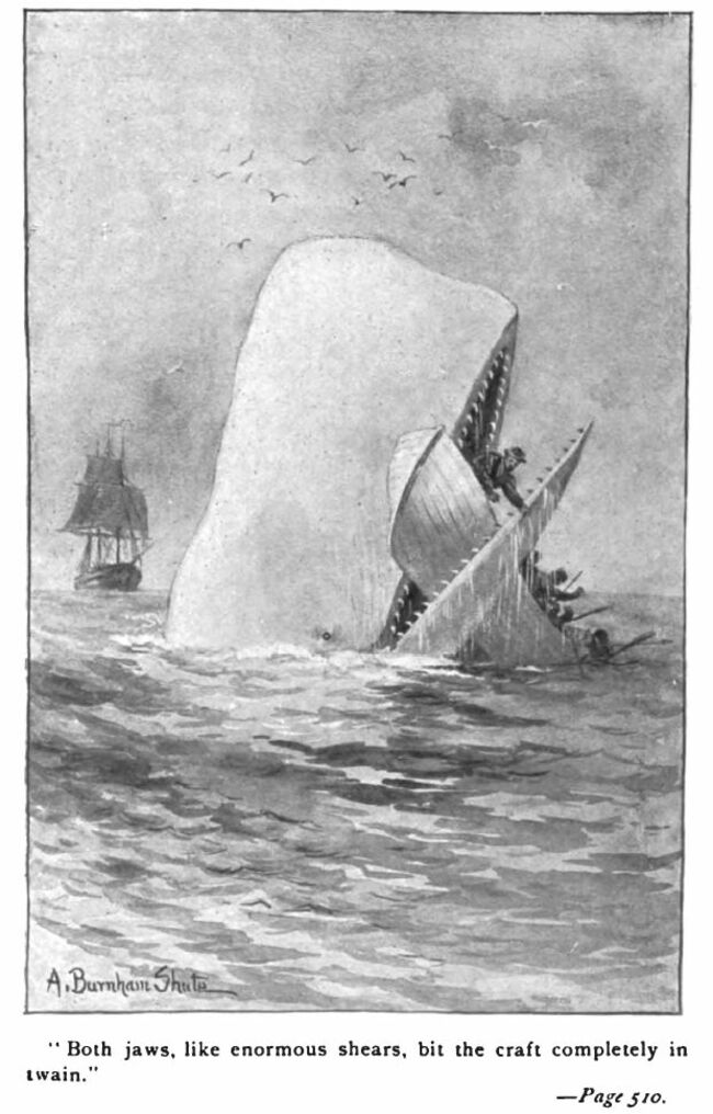 Illustration de Moby-Dick par Augustus Burnham Shute, 1892.