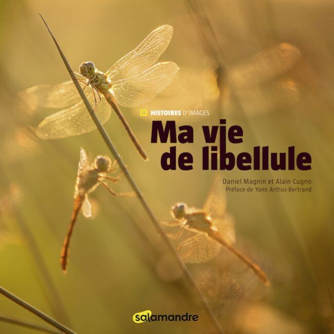 Ma vie de libellule, photos Daniel Magnin, textes Alain Cugno, éd. La Salamandre, 29 €.