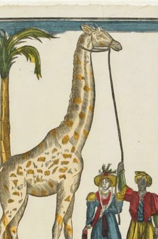 La girafe offerte par le Pacha d'Égypte au roi Charles X.