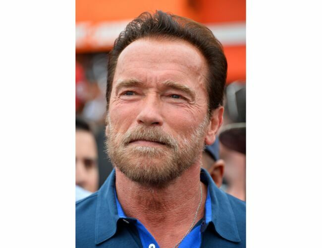 Arnold Schwarzenegger et son visage rectangulaire