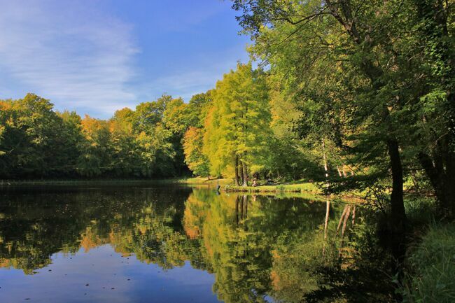 L’étang de la Herse, un site incontournable de la forêt de Bellême.
