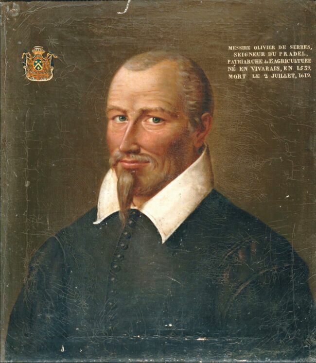 Portrait d'Olivier de Serres. Auteur anonyme.