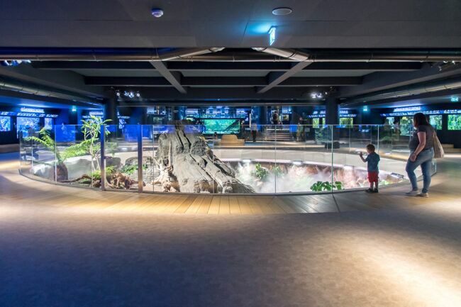 Cet espace tropical de 1.000 m2 héberge 84 aquariums et une collection vivante de plus de 15.000 animaux marins.
