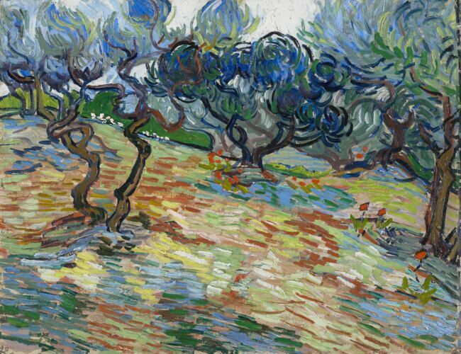 © "Oliveraie de Saint-Rémy," Vincent van Gogh, 1889.