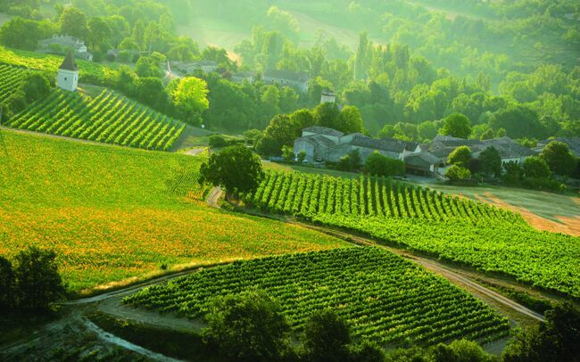 Le vignoble de Gaillac, cultivé depuis près de 2.000 ans.