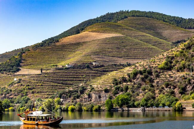 La croisière sur le Douro donne à voir les superbes paysages de la vallée.