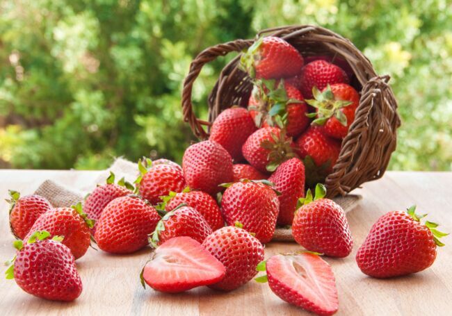 Les fraises parfumées de Plougastel.