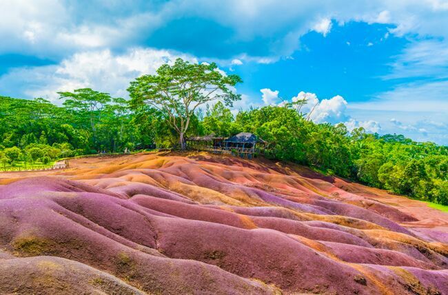 La Terre des Sept Couleurs. Dans le sud de l’île, ce site géologique rare offre un camaïeu de couleurs mariant les cendres volcaniques aux dunes de terre ocre, brunes, mauve et rouges. Un promontoire permet d’observer cette curiosité.