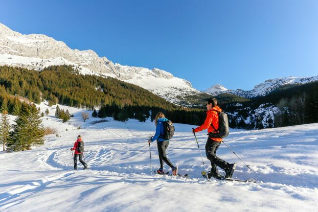 Avec 125 km de pistes, les stations de Villard-de-Lans et Corrençon-en-Vercors offrent le plus vaste domaine de ski alpin du Vercors.