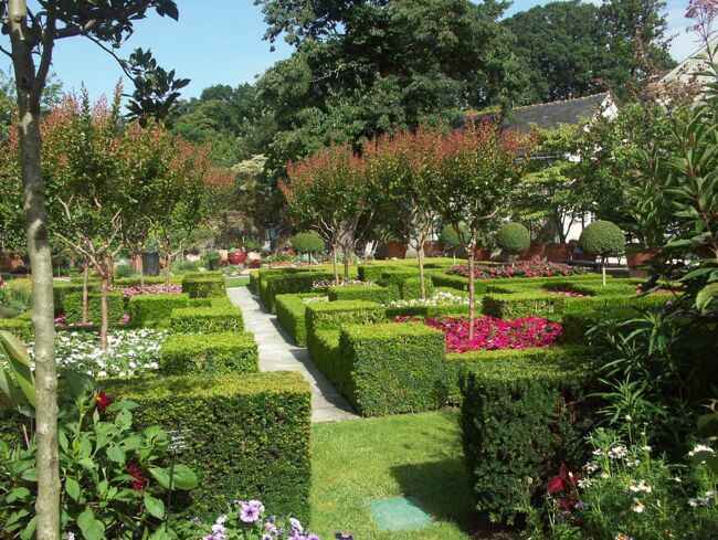 L’arboretum Gaston Allard à Angers.