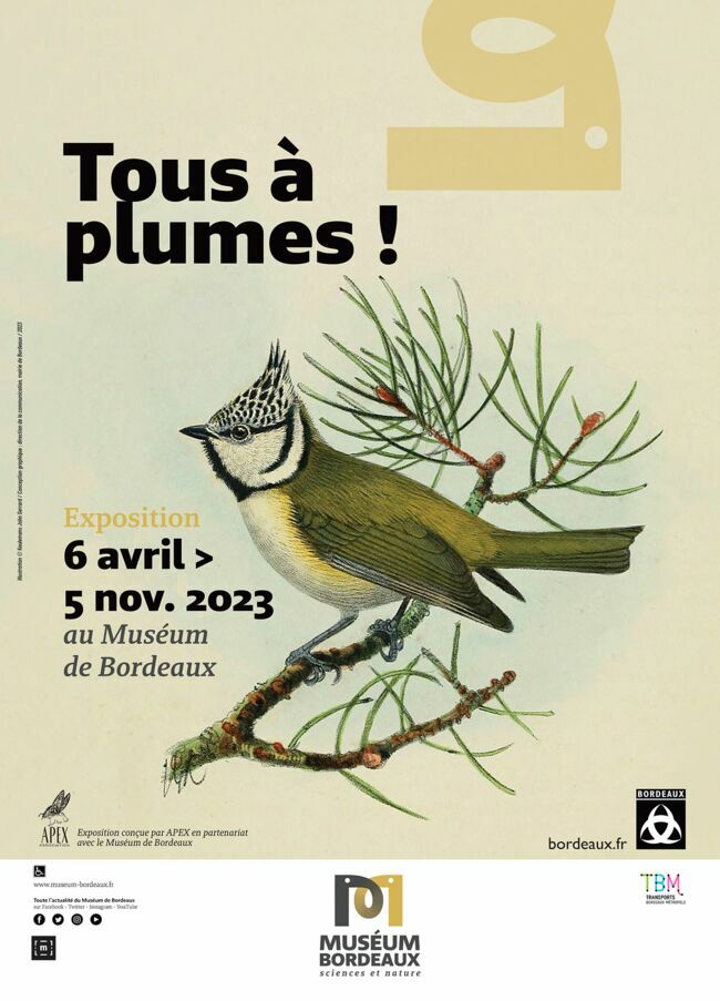 Affiche de l'exposition "Tous à plumes !" jusqu’au 5 novembre 2023, Muséum de Bordeaux (33).