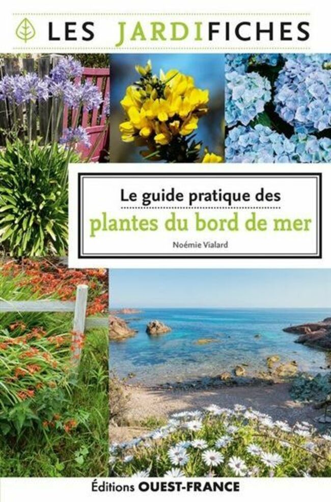 Le guide pratique des plantes du bord de mer, Noémie Vialard, éd. Ouest-France.
