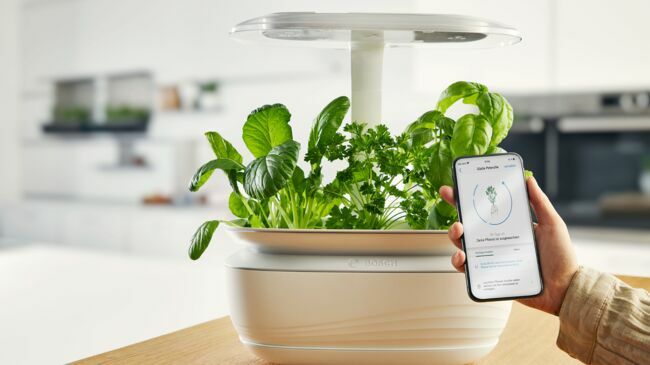 Liv : un potager d'intérieur connecté pour cultiver jusqu'à 2 kg de fruits  et légumes frais toute l'année - NeozOne