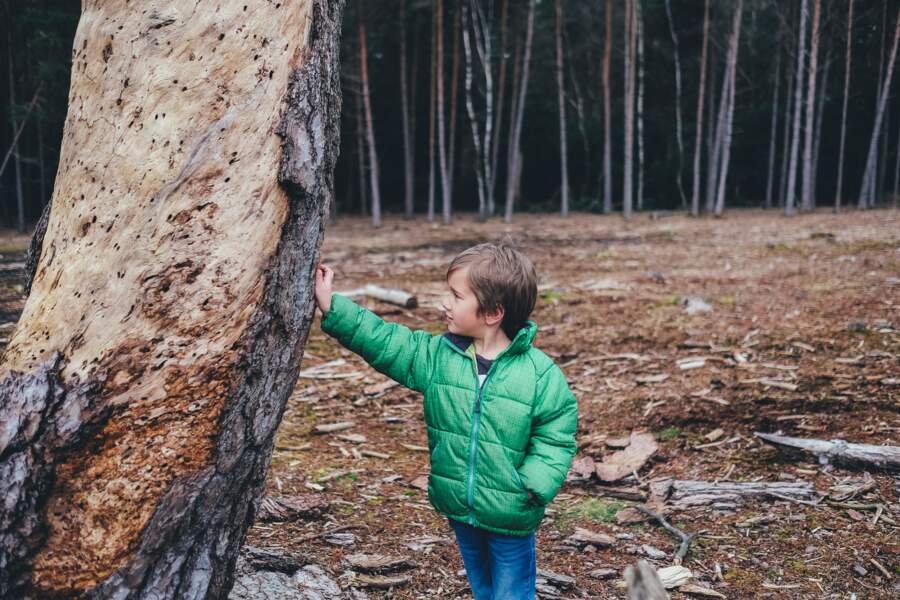 8 activités "nature" à faire avec les enfants cet hiver