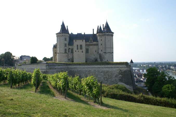 La château de Saumur