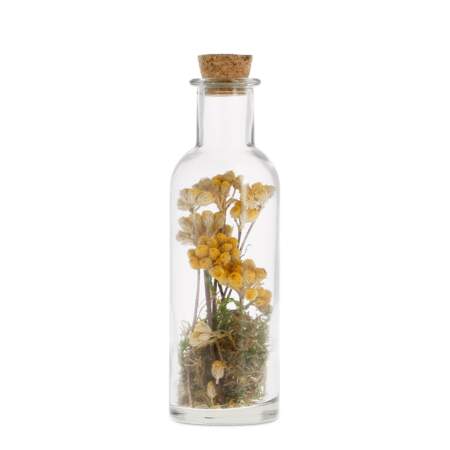 Fleurs séchées en bouteille de verre