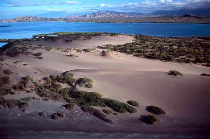  Les dunes de Bani
