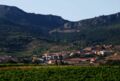 La région viticole de la Rioja