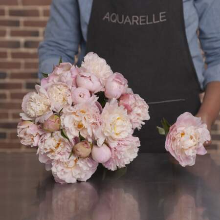 Bouquet de pivoine : Aquarelle