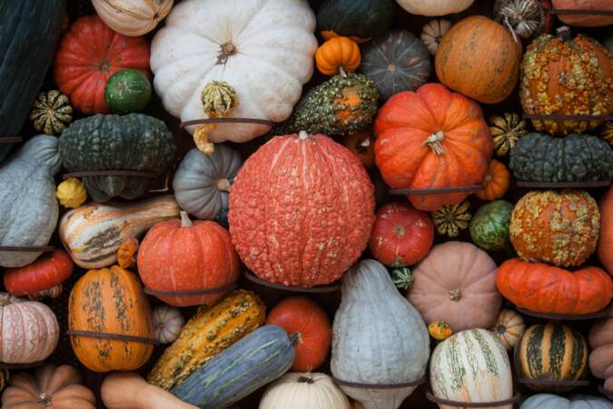 Fruits, légumes, viandes, poissons : nos recettes à faire en octobre