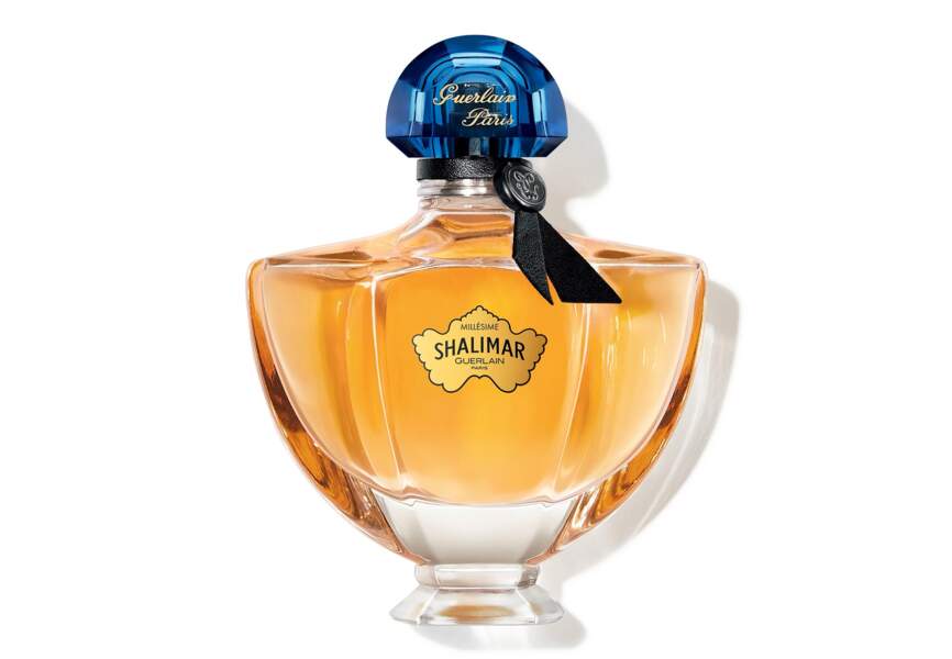 Le parfum shalimar millésime vanilla planifolia Guerlain