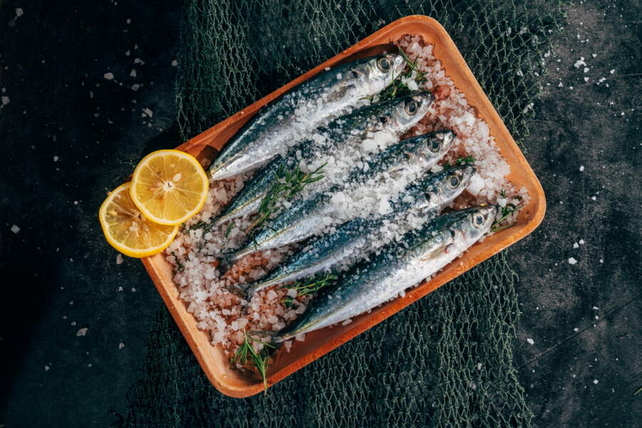 Sardines en conserves 9 recettes minceur à préparer en quelques