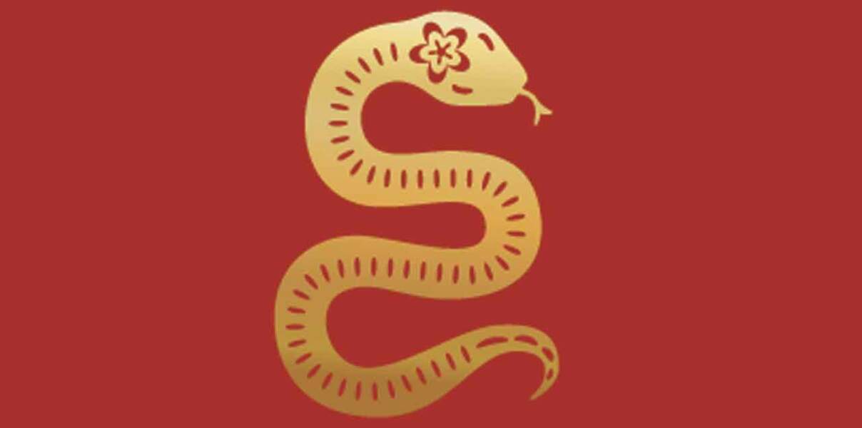 Horoscope chinois du mois de février 2022 pour le Serpent : les prévisions de notre astrologue spécialisée