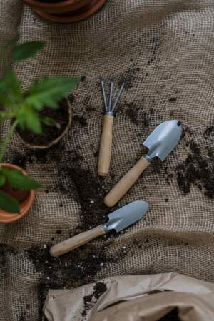 Jardinage : 5 conseils pour débuter (et enfin avoir la main verte)