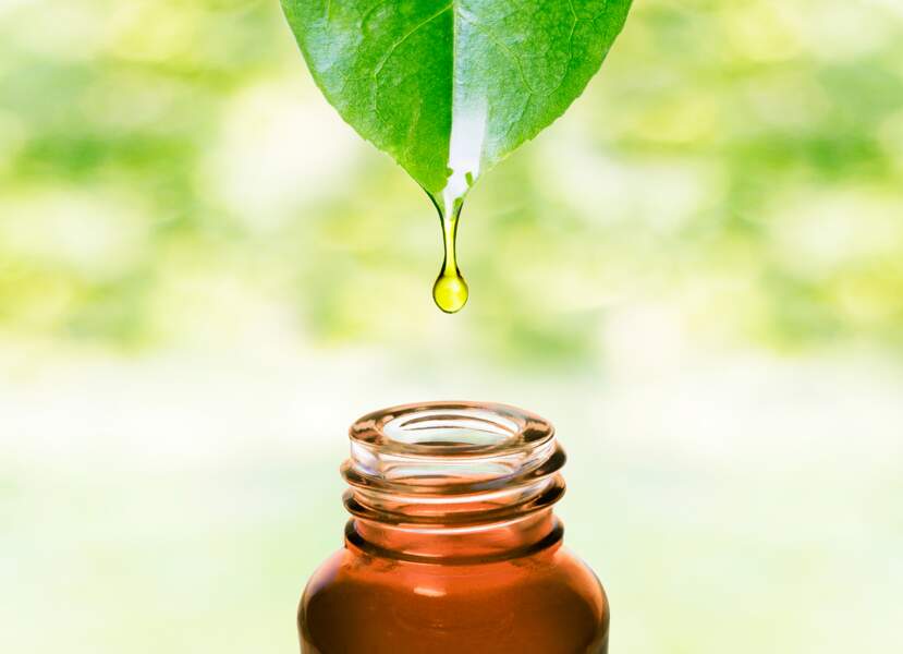 Migraine, maux de ventre… les meilleures huiles essentielles anti-douleur et comment les utiliser ? 