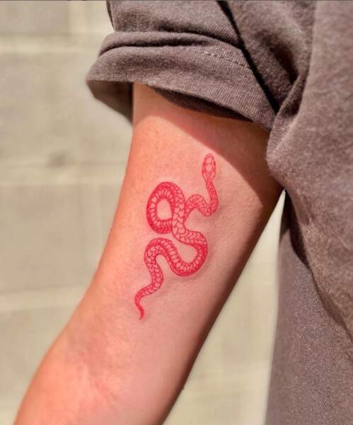 Tatouage de serpent rouge