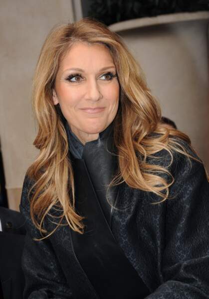 Céline Dion : 24 novembre 2012 à Paris.