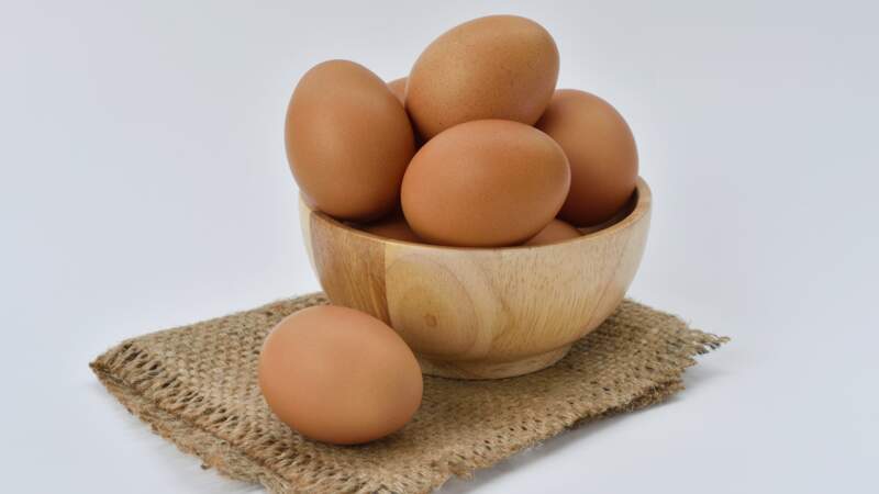 Les œufs 