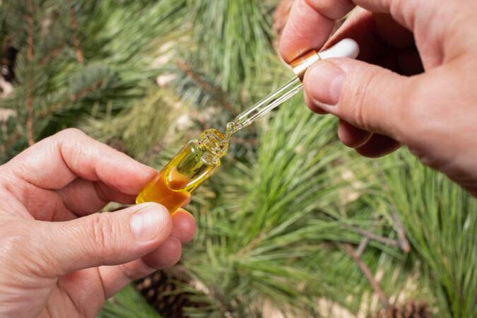 L’huile essentielle de pin sylvestre