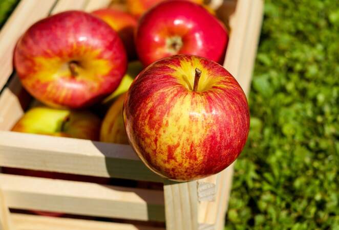 40 recettes d'automne faciles et légères à base de pomme