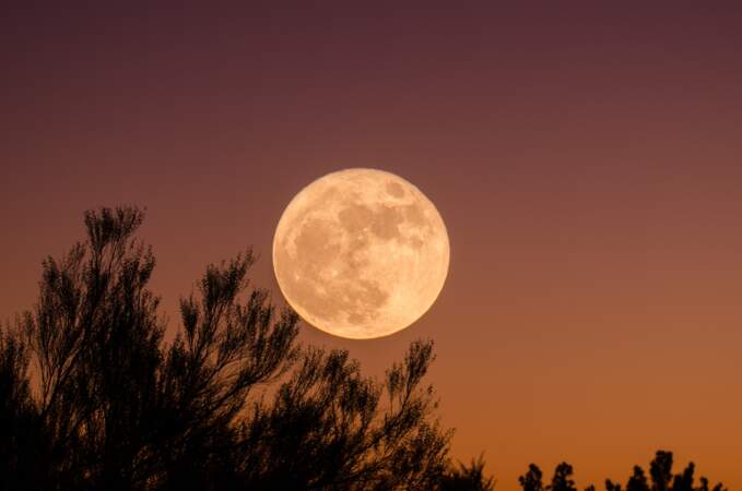 1er août 2023 : Pleine Lune en Verseau à 20 h 33