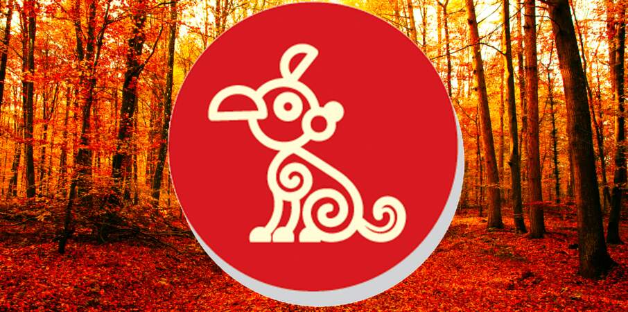 Horoscope chinois du mois de novembre 2022 pour le Chien : toutes nos prévisions